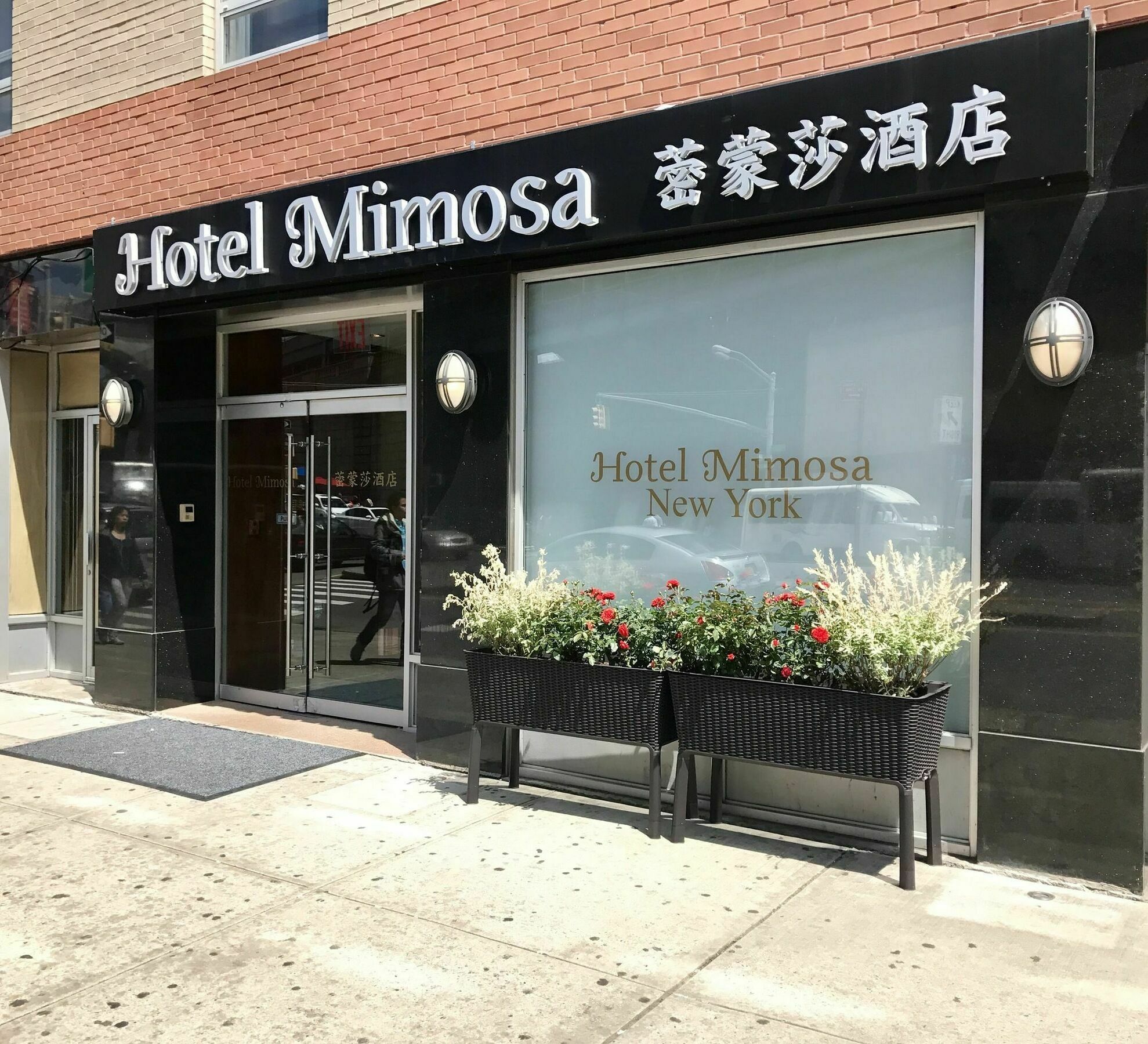 Hotel Mimosa New York Exteriör bild